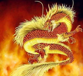 3. 蝙蝠入宅与福寿双全的预兆