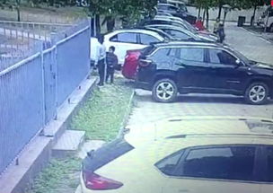 家门被泼尿或车停家门被泼泥水，影响风水或可报警的风水问题是什么？