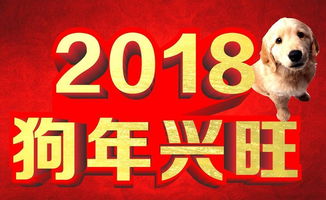 2024年哪些生肖会得天喜红鸾，迎来喜事呢？