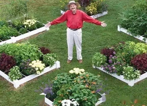 菜园中打一生肖，菜园打一数字指的是什么生肖和数字？