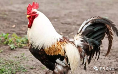 2025年7月15日这天到底是咋样