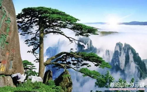 二、行程安排，你准备良好了吗？