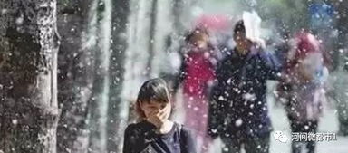 ：夜阑院落中的“柳絮轻摇”与情感记忆的交织