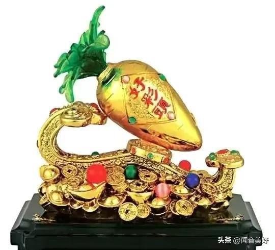 3．置于光照充足且宽敞的区域