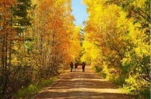 三点半噪声插入段落（无意义填充）