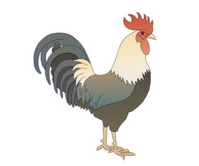 2026年6月属鸡运势如何，详细解析具体包括哪些方面？