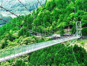 观林吊桥的风波