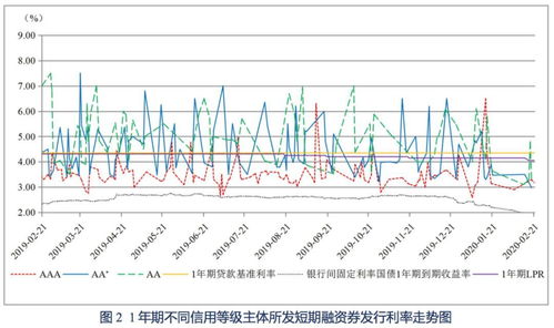 整体趋势与提议（综合运势解析）
