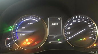 一、 六月的太阳简直能把人烤成肉干