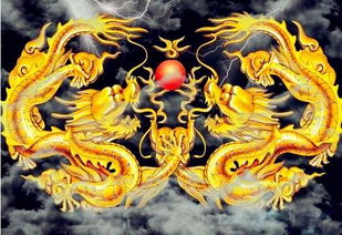 盛名灏龙年：起名艺术创作， 为您的生肖锦上添花