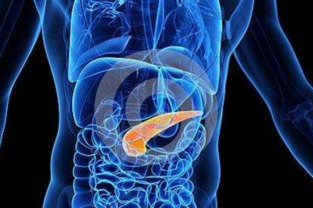 2.5 耳垂特征与心血管疾病