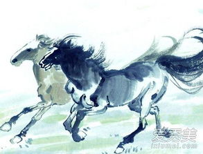 属马与属龙配对如何？蛇年属马的人适合佩戴什么物品？