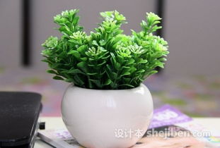 植物搭配摆件以增强财位综合效益的方法论