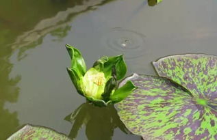 4. 美观：拍照发朋友圈专用