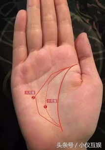 八字中哪些组合特征预示着富贵命格？