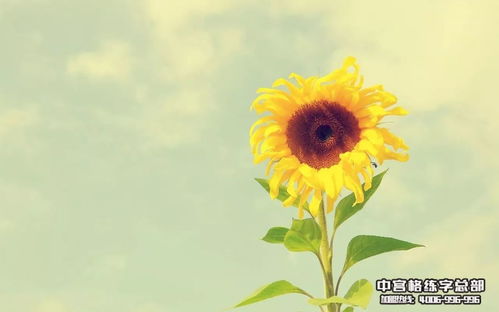 毕业感悟：自主选择人生的权利与责任