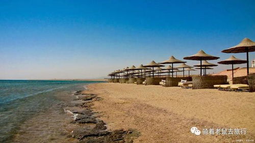 2.1 大连：海岸线与人文记忆交织