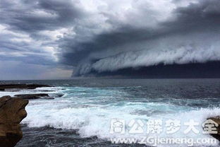 做梦都逃不掉的绿草地