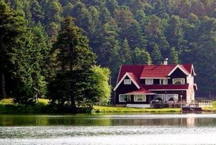 一、 树木选择的风水禁忌及合理配置