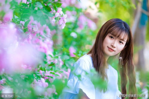 一、 网名溯源：多元化背景下的自我呈现