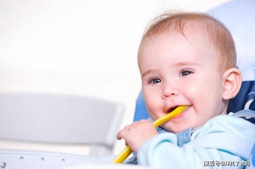 职场妈妈的“极限挑战”：独自带娃的短途游智慧