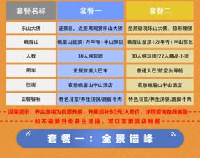 策略建议：如何最大化团购价值