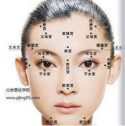 面相看婚姻的关键部位