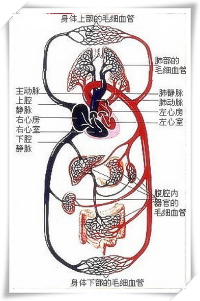 选错方位会要命！