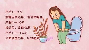 1.2 生肖与五行相生的影响