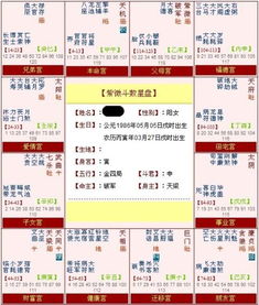 子节：决策速度与效率优化机制探讨
