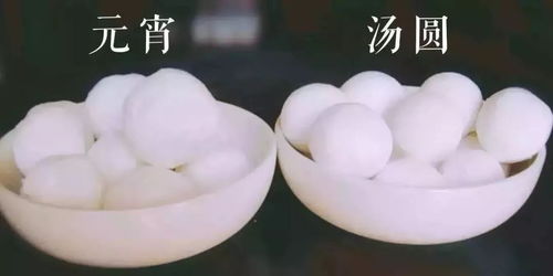 五、 春节期间公共活动形式之对比：庙会与舞龙灯