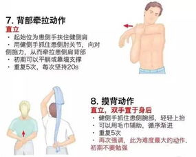 5、 软耳欠胆量