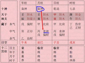 八字木多印星过多，如何调整工作变动以平衡五行？