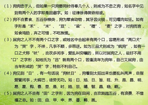 为什么要纠结于狗年呢？这到底是个什么梗？
