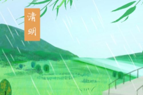 五、 综合评价与实践指引