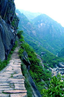 景点？笑死，根本没啥景点！（真的没有）