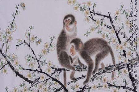 2026年属猴人的健康运势究竟如何？