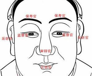 四、 辅助特征综述——鼻翼丰满、鼻头形态及额头平滑等因素对守财嫩力的补充解释