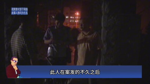 1.1 突发刺激与大脑的应激反应