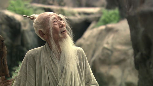 风水命理与星象的交汇：树影摇曳的象征意义