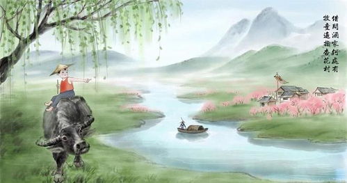 地域差异与习俗变迁