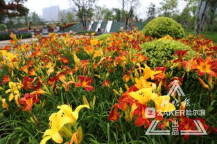 三、 封印灵魂：悲痛与救赎