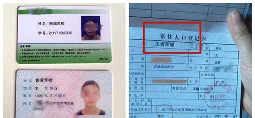 '更更多苗姓男孩和女孩的名字较大全'