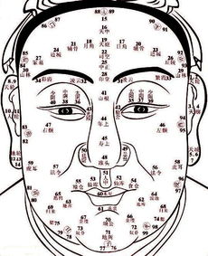 面相特征来选择各专长人才