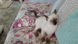 一、 子时异动：仓房空间的风水意涵及时辰选择