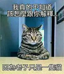 测试一下：你适合玩“狗子敲木鱼”吗？