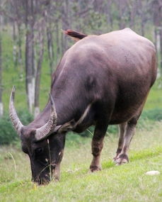 那个破房子，藏着多少不敢说的秘密