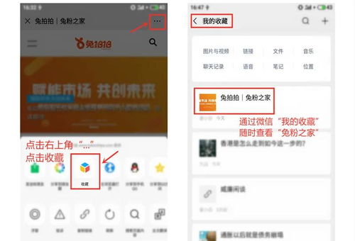 2026年属兔人跳槽吉祥手机号，1987年出生的属兔人最合适的号码是？