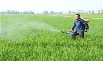 有哪些家庭农场名字适合农村地区？