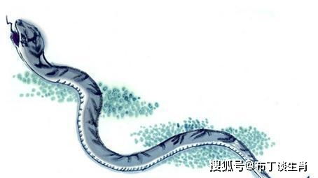 家里出现蛇是吉是凶？预示着什么十大前兆？